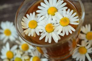 花粉症対策の食べ物と飲み物ランキング