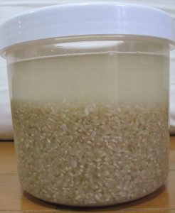 発芽玄米の作り方
