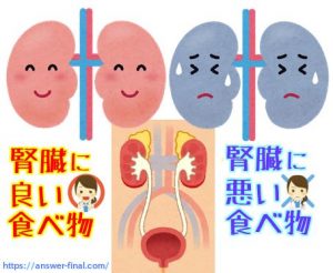 腎臓に良い食べ物
